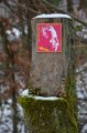 Wandertag 2017 - 061